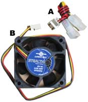 Fan